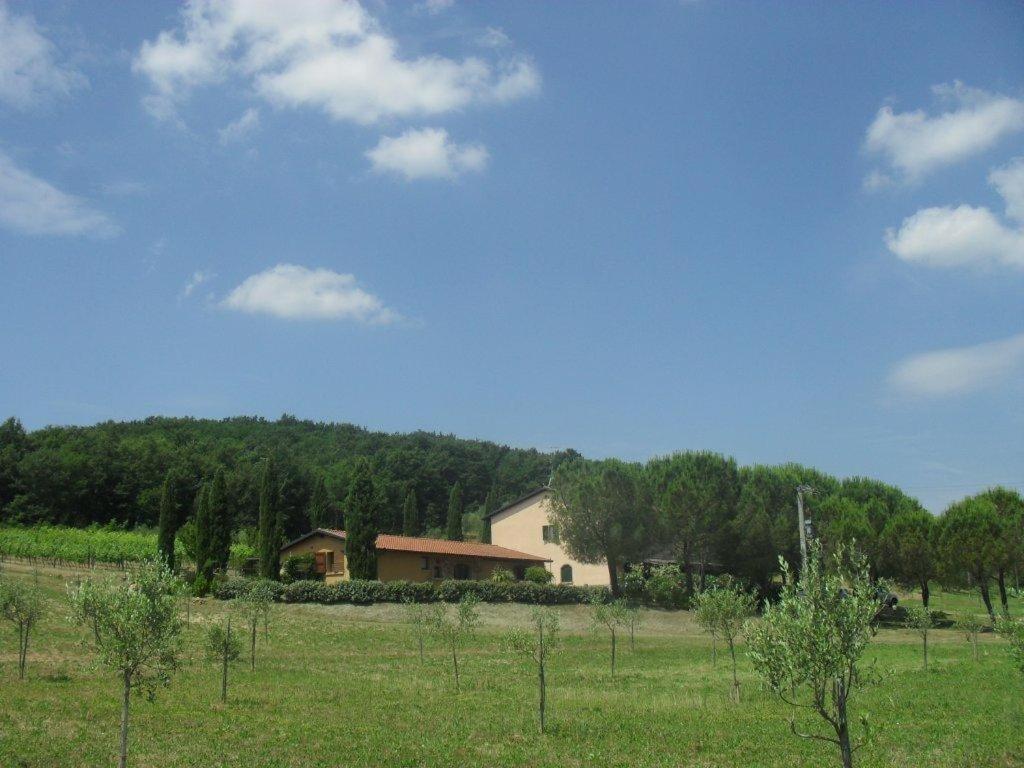 Agriturismo Podere Mulinaccio Ribolla Екстериор снимка