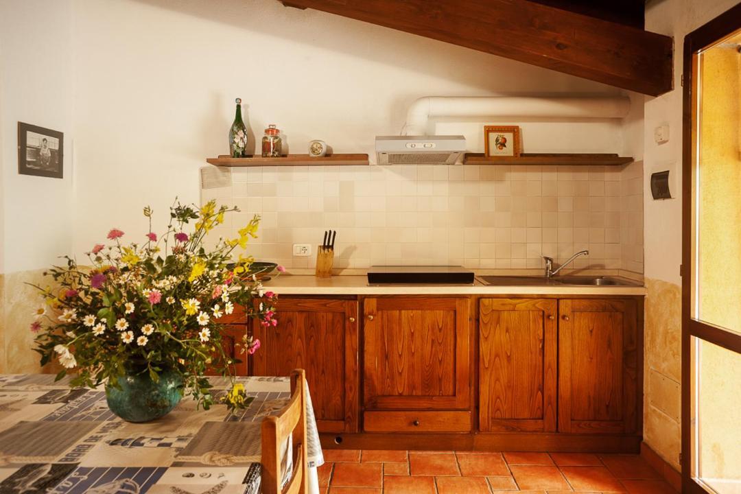 Agriturismo Podere Mulinaccio Ribolla Екстериор снимка