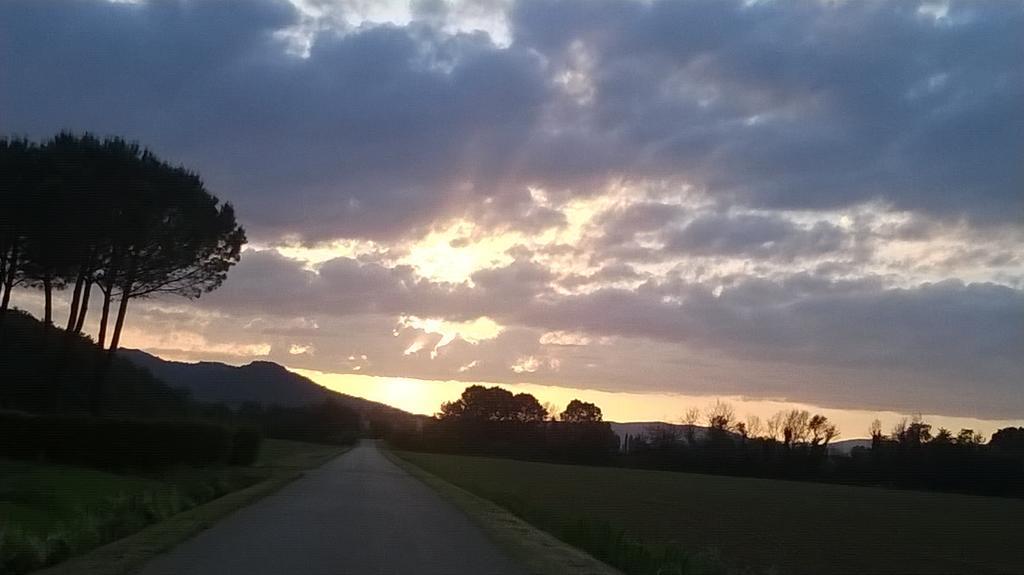 Agriturismo Podere Mulinaccio Ribolla Екстериор снимка
