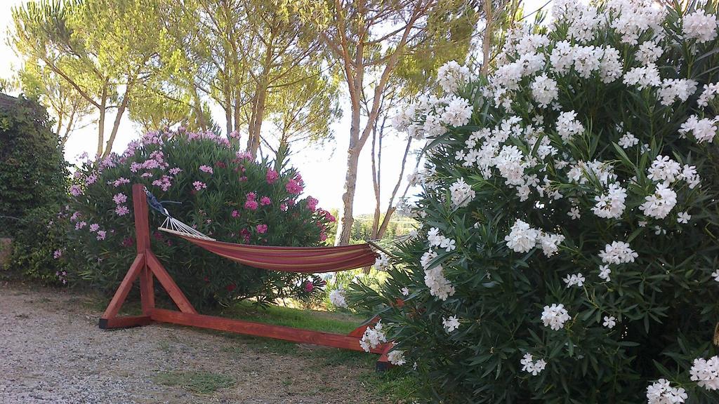 Agriturismo Podere Mulinaccio Ribolla Екстериор снимка